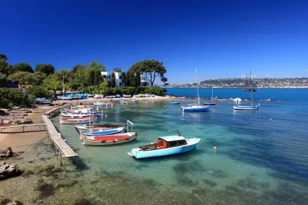 Coeur De Juan, Calme, 300M Plages - Easy Check-In Antibes Zewnętrze zdjęcie