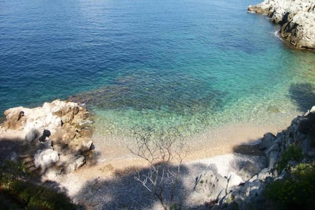 Coeur De Juan, Calme, 300M Plages - Easy Check-In Antibes Zewnętrze zdjęcie